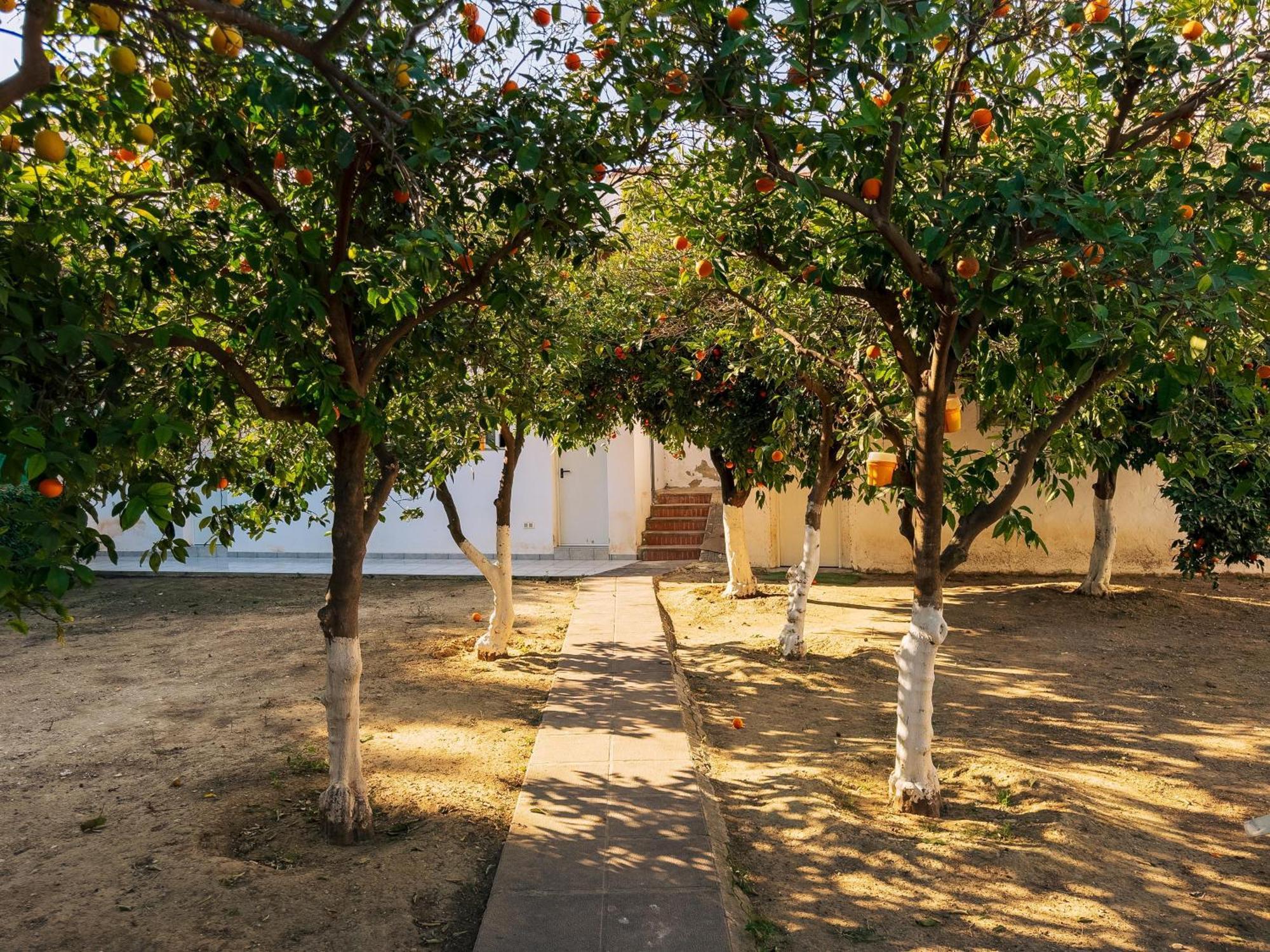 Charming Country House Torremolinos Exterior foto